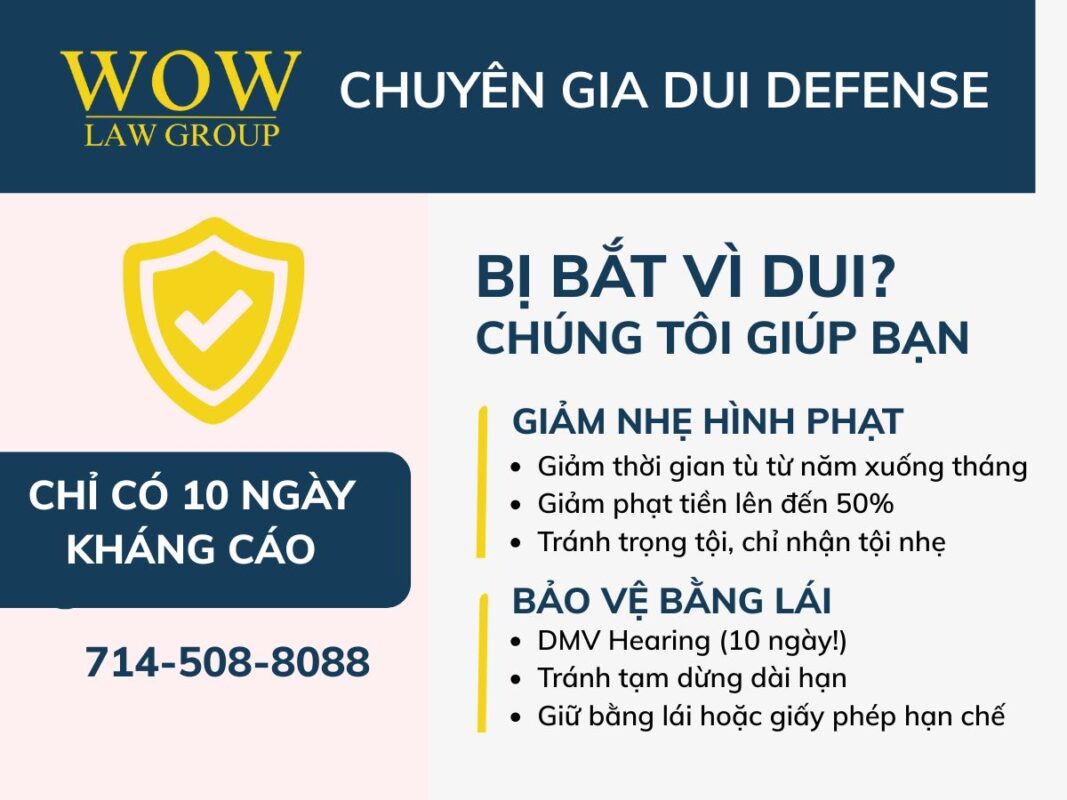 Hành động để bảo vệ bằng lái, tình trạng di trú của bạn