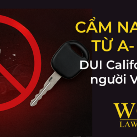 Cẩm Nang DUI California: Hướng Dẫn Toàn Diện Cho Người Việt Từ Bị Bắt Đến Bảo Vệ Thẻ Xanh 2025