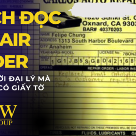 Hướng Dẫn Thực Chiến: Cách Đọc Repair Order Và Tại Sao Bạn Không Nên Rời Đại Lý Mà Không Có Giấy Tờ