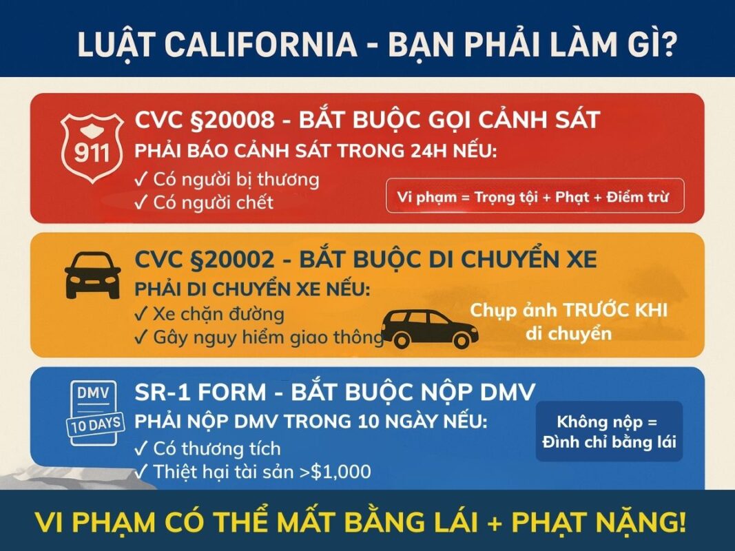 Những lưu ý quan trọng sau khi đụng xe ở California năm 2025