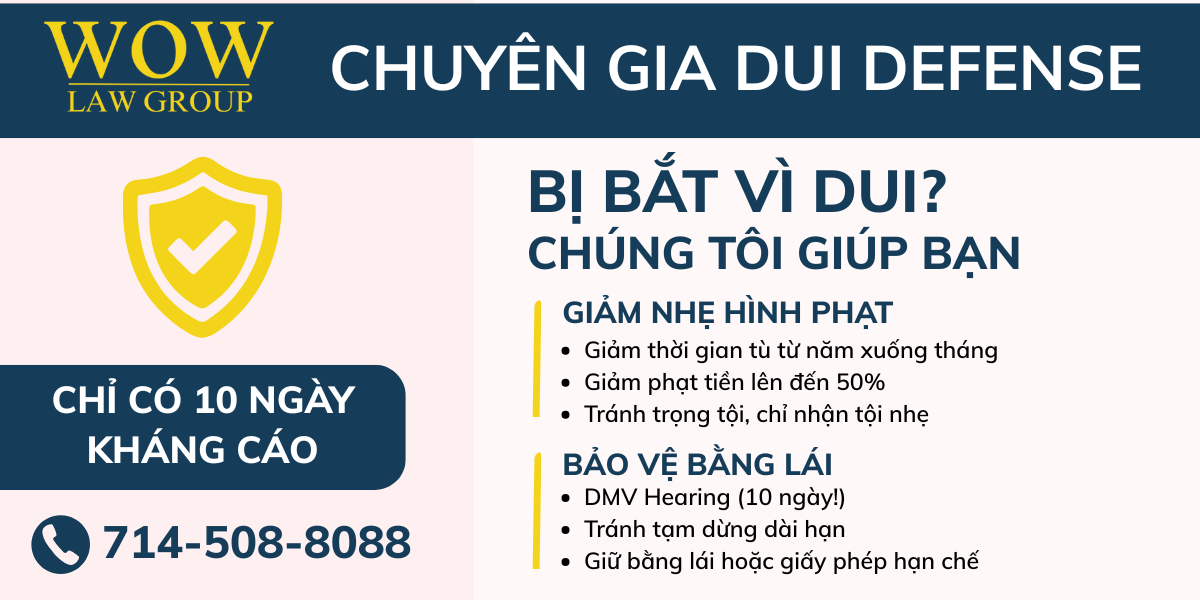 Liên hệ luật sư để được hỗ trợ sớm nhất