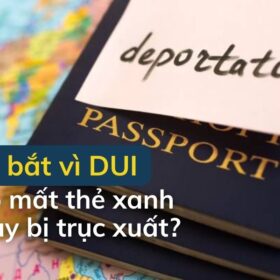 Hậu Quả DUI Với Tình Trạng Di Trú: Liệu Bạn Có Mất Thẻ Xanh Hay Bị Trục Xuất?