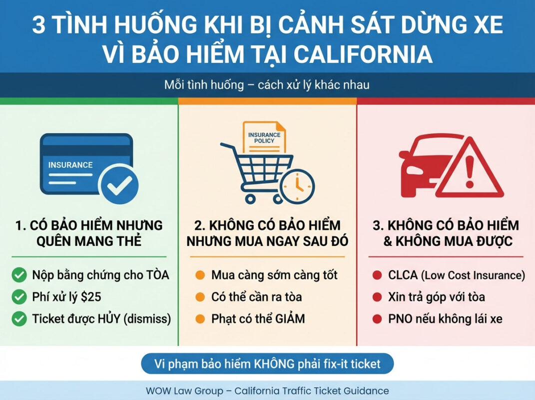 Ba Tình Huống và Cách Xử Lý Khi Bị Cảnh Sát Dừng Xe Tại California