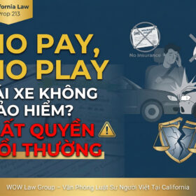 "No Pay, No Play" California: Lái Xe Không Bảo Hiểm Bị Mất Quyền Bồi Thường