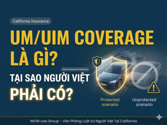 UM/UIM Coverage Là Gì? Tại Sao Người Việt California Cần Phải Có