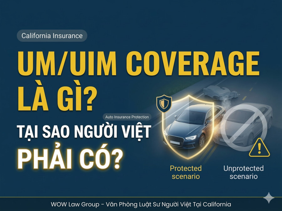 UM/UIM Coverage Là Gì? Tại Sao Người Việt California Cần Phải Có
