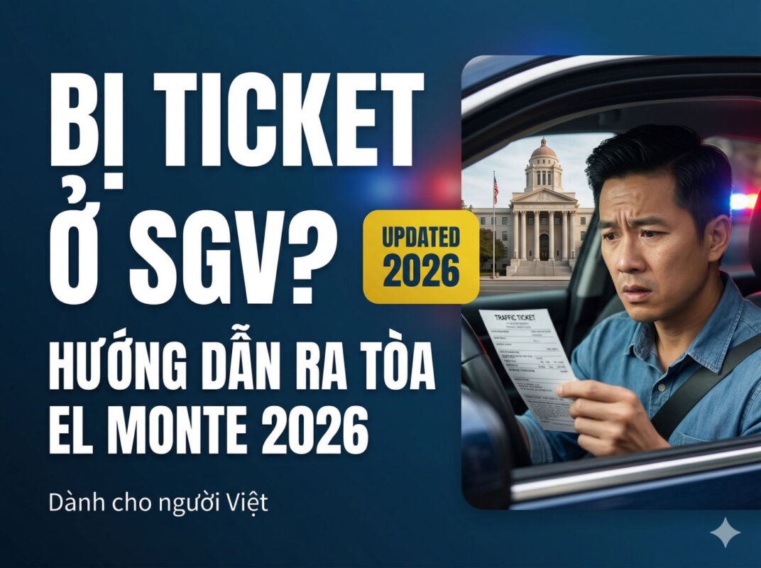 thi-dmv-lan-dau-nguoi-lon-california (3)