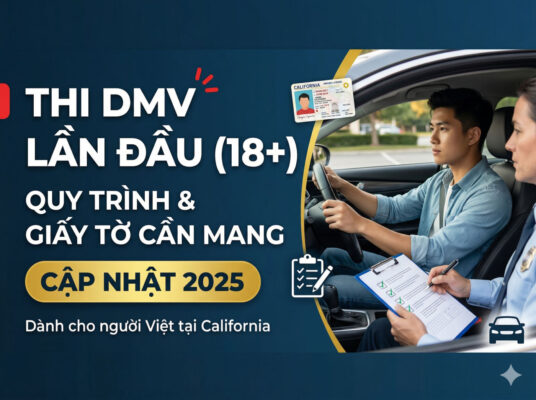 thi-dmv-lan-dau-nguoi-lon-california